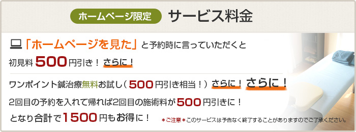 ホームページ限定サービス料金